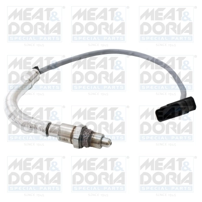 Oxygen Sensor